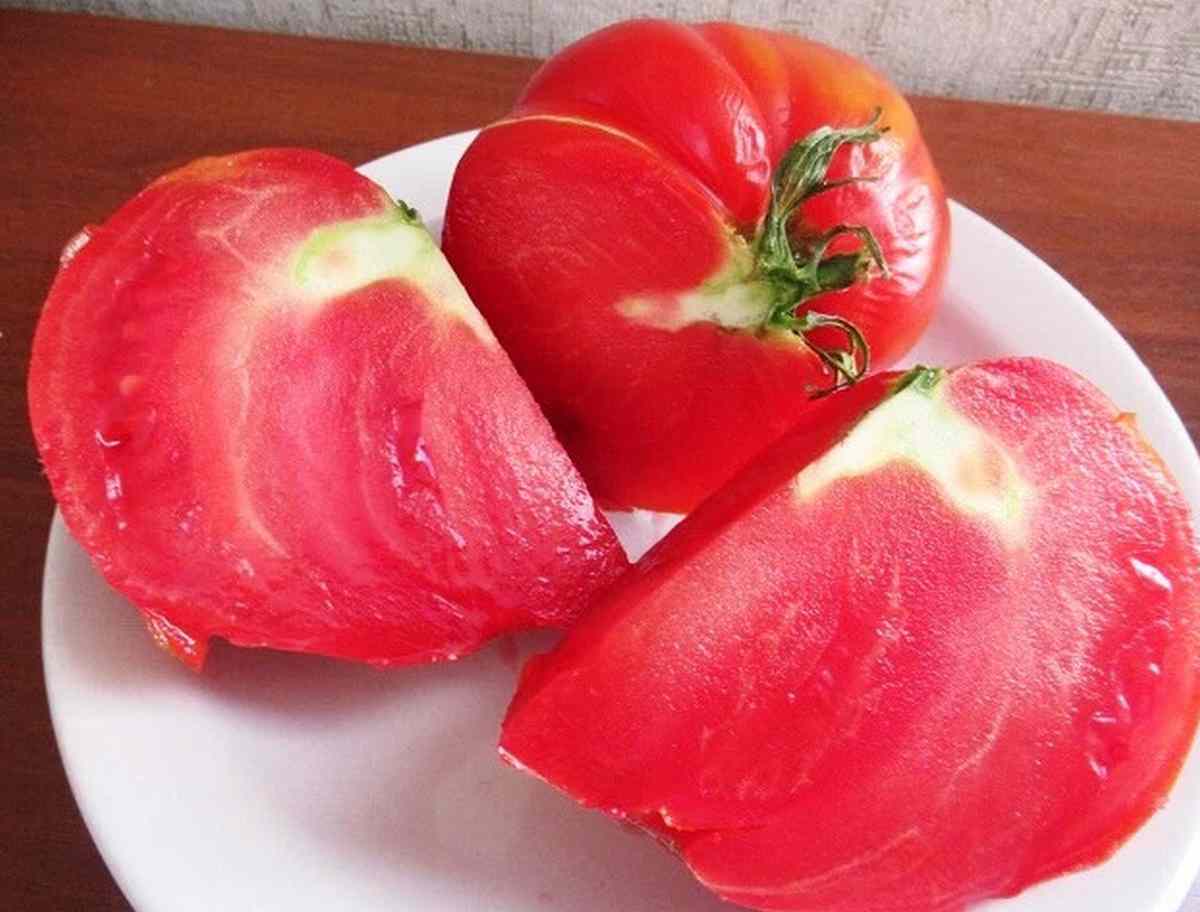 Danko rajče na talíři